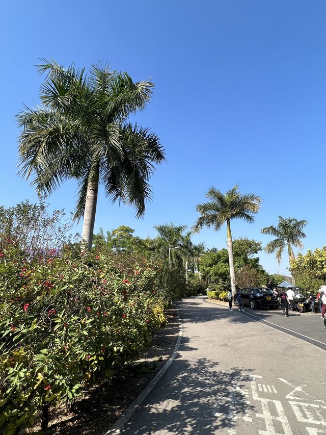 何時·河地🏞 香港遠離塵囂的風景 📍上水