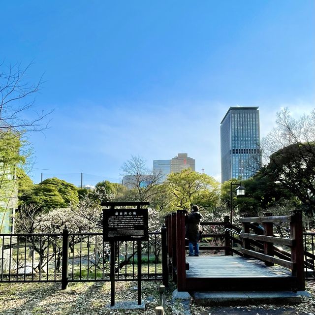 芝公園の梅林