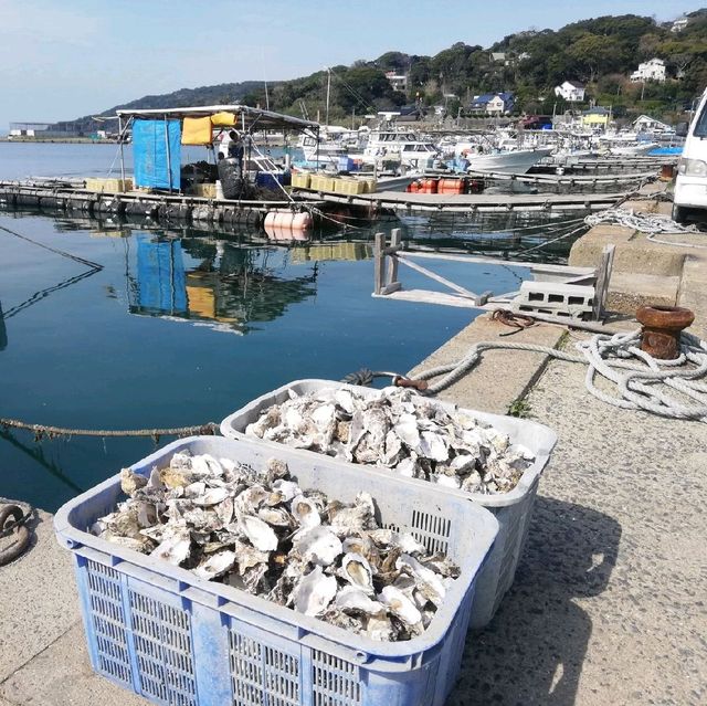 [糸島市]かき小屋で海鮮焼堪能😋「徳栄丸」