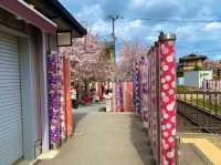 京都　KYOTO SAKURAめぐり❗️嵐電嵐山駅の桜に感動❗️足湯も⁈