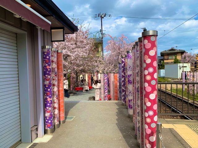 京都　KYOTO SAKURAめぐり❗️嵐電嵐山駅の桜に感動❗️足湯も⁈