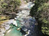 徳島の秘境にある絶景『かずら橋』