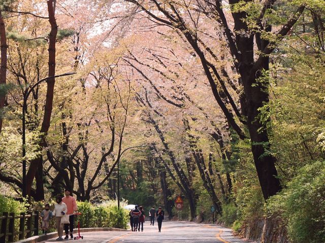 남산타워에서 서울 도심뷰 산책💗