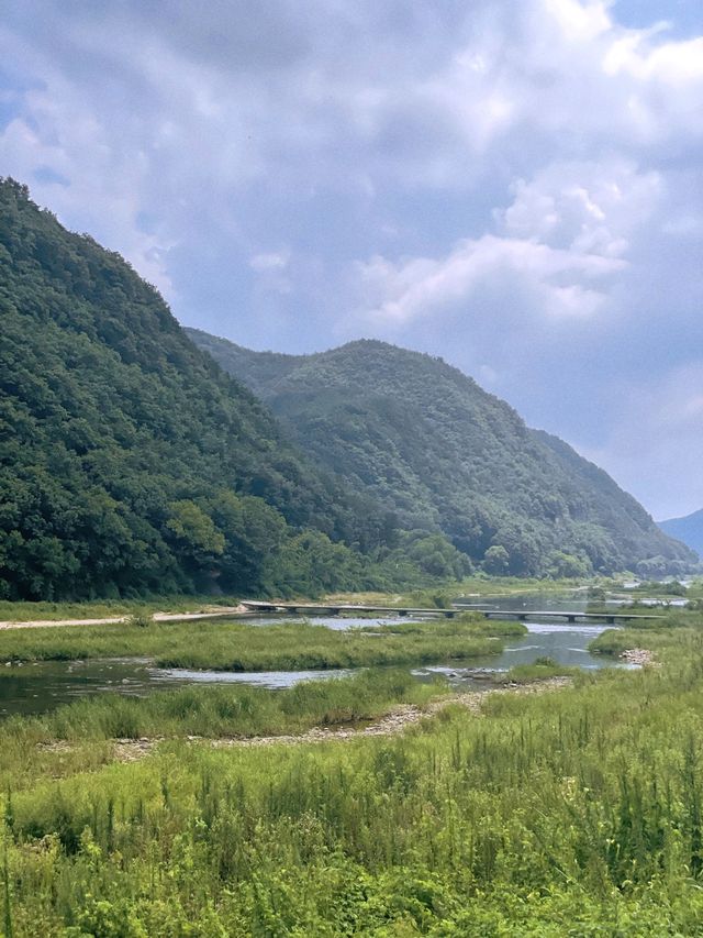 경남 봄나들이 포토스팟 📸