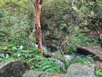 基隆特色峽谷步道~暖東峽谷 親近大自然與水流 