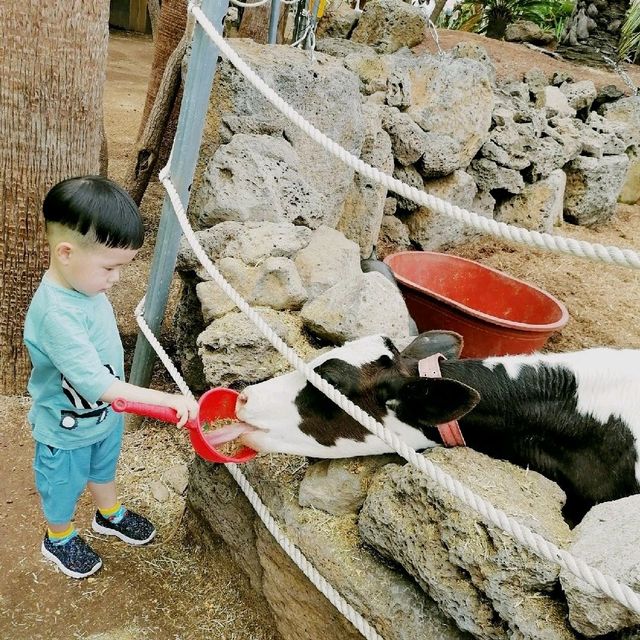 濟州親子cafe