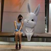 與♡星月兔🐰♡的相聚