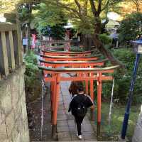 紅葉の上野公園はとても綺麗！