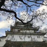 🇯🇵 西日本的美麗城堡 – 和歌山城