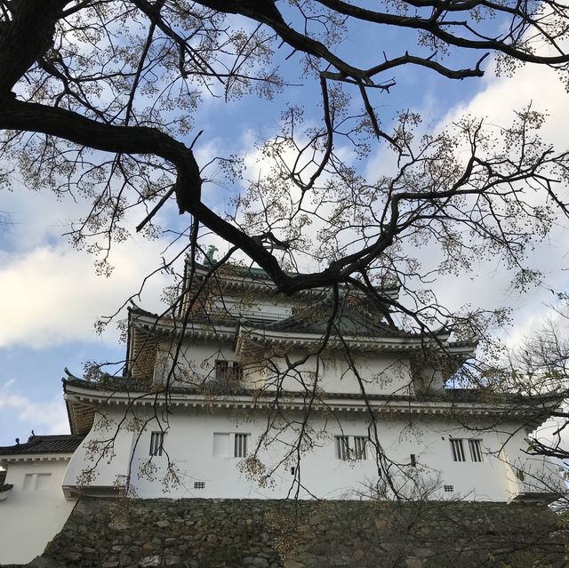 🇯🇵 西日本的美麗城堡 – 和歌山城