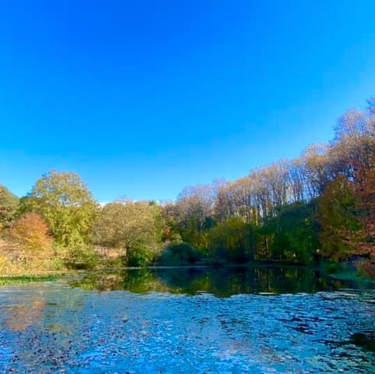 Beautiful park to watch autumn ending