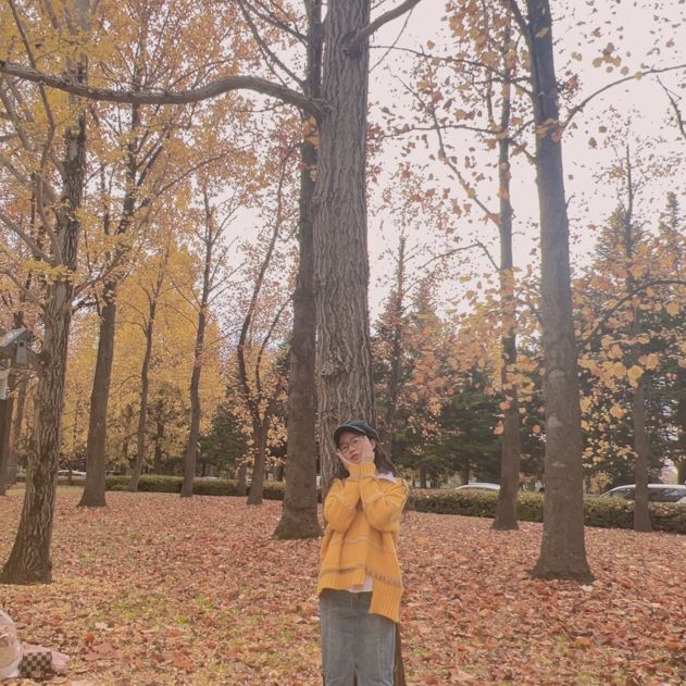 mùa lá vàng tới rồi🍁