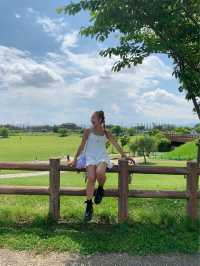 大和ゆとりの森🌳🌿