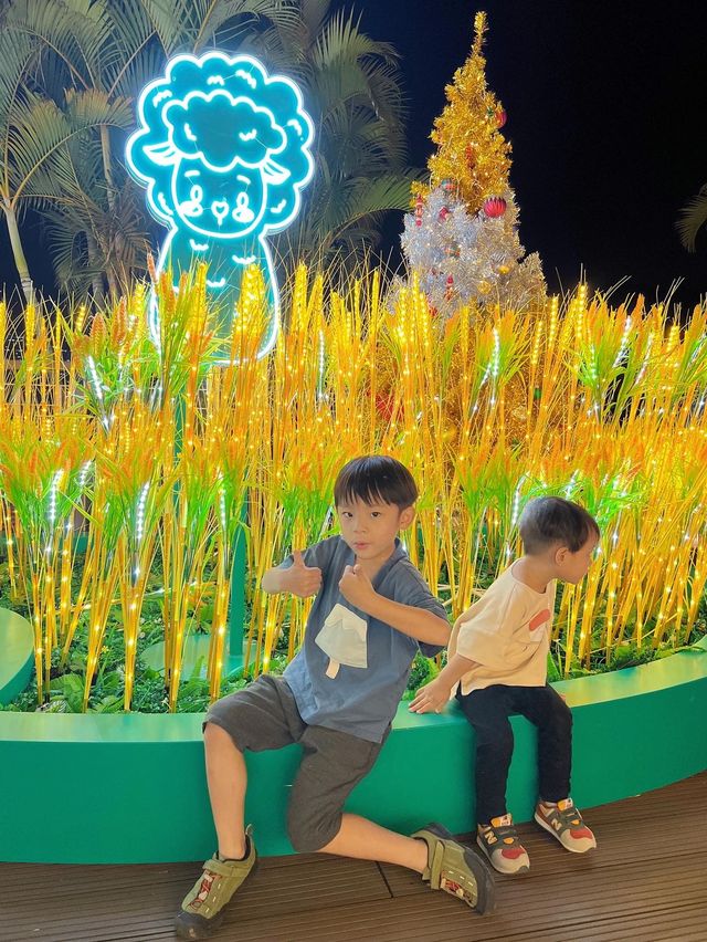 鬧市中的浪漫營地 草泥馬相伴