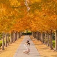 🍂주황빛아래에서 의미를 되새기며 산책하기 좋은곳 [부산, UN기념공원]