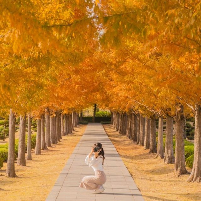🍂주황빛아래에서 의미를 되새기며 산책하기 좋은곳 [부산, UN기념공원]