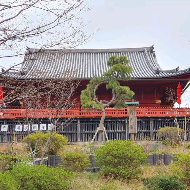 เดินเล่นชิลๆที่สวนอุเอโนะ (Ueno Park) 