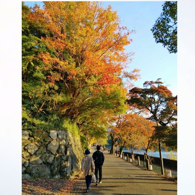 宇治神社