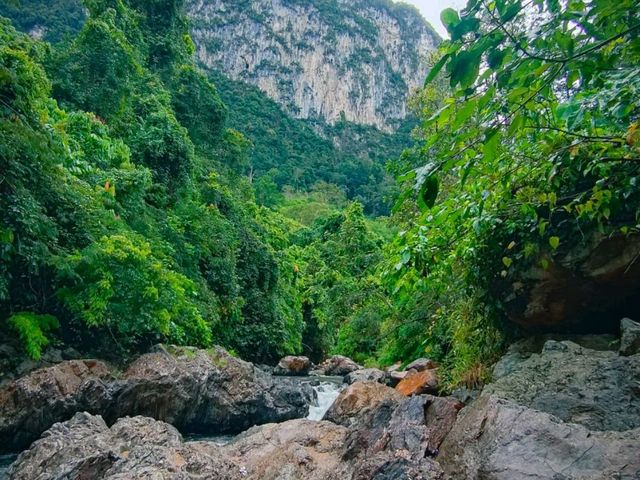 🏞️น้ำตก บาตูกาเป๊ะ บันนังสตา🌿☘️🍀
