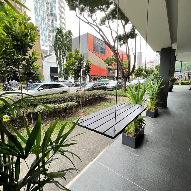 Greenery at Memo cafe