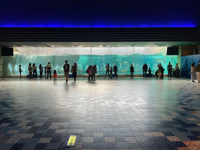 レトロな感じが逆に良い？！須磨水族館🐟