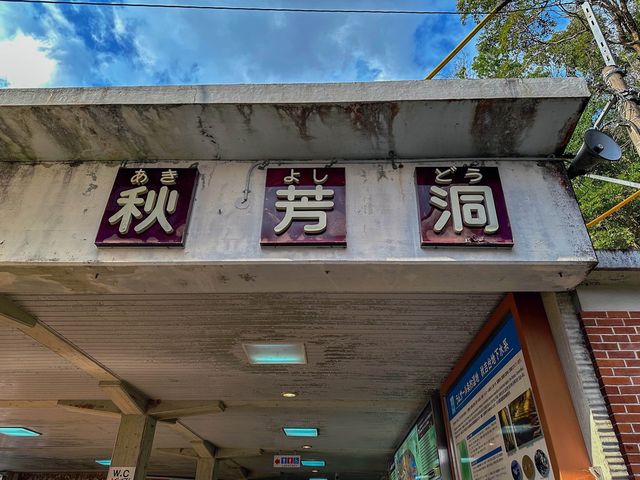 日本最大級の鍾乳洞で神秘的な時間を