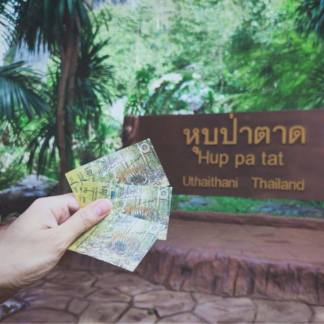 Unseen ❗️หุบป่าตาด ป่าดึกดำบรรพ์ 🦕เมืองอุทัย 🦇