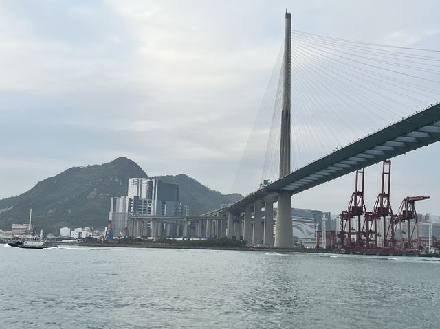 🎉Happy New Year 座天星小輪世星號 ⛴️