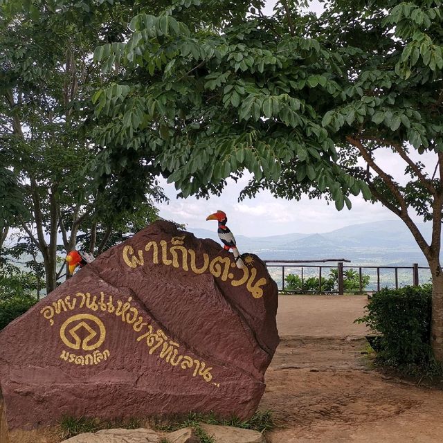 ผาเก็บ​ตะวัน​ วังน้ำเขียว​ 