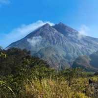 KALIADEM BUNGKER, YOGYAKARTA