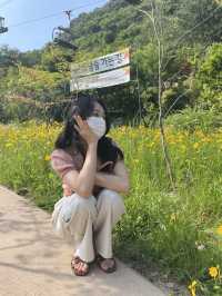 가을 여행지 추천 :: 화담숲🌳