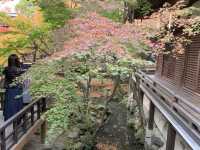 京都[紅葉めぐり]  永観堂(禅林寺)  圧巻の堂内編