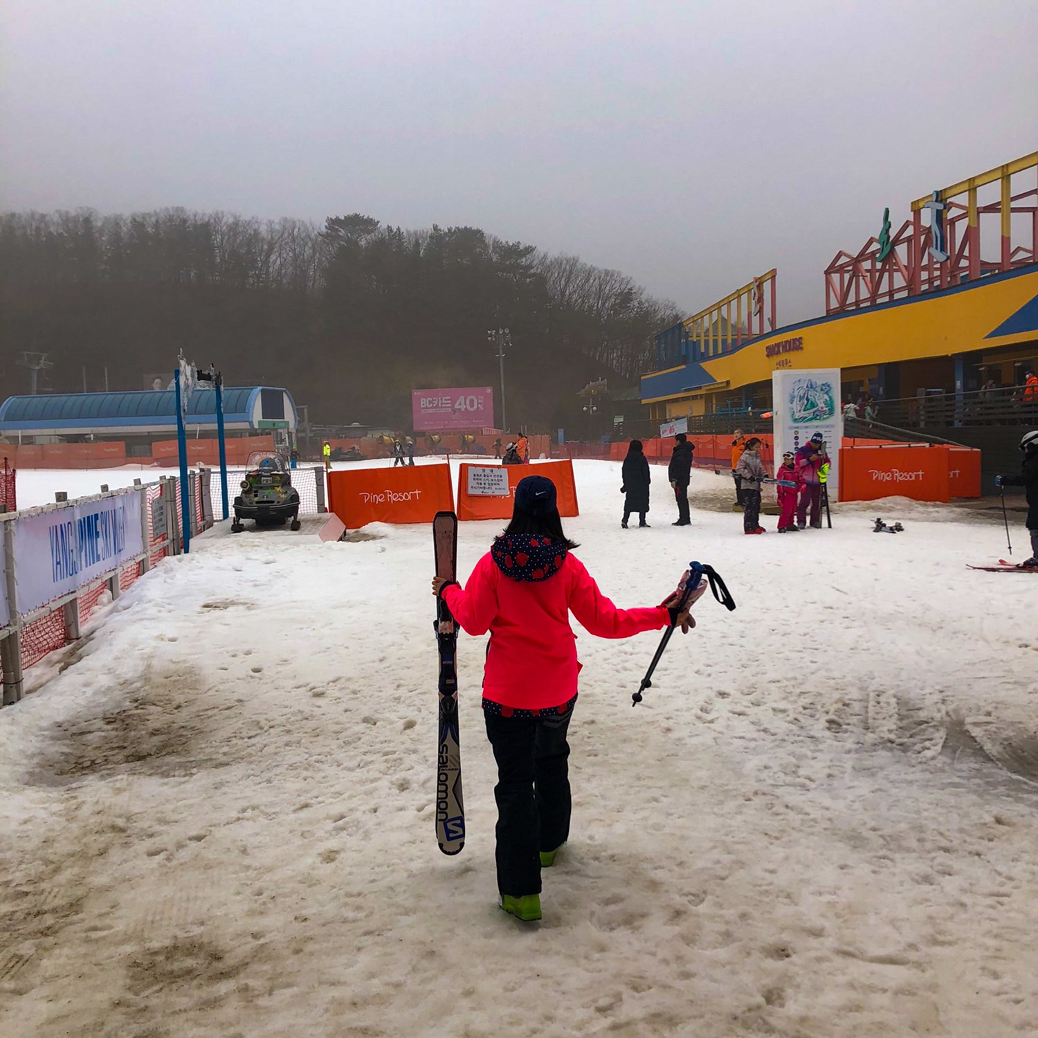 Gyeonggi-do Ski Resort Recommendation ‘Yangji Pine Resort’