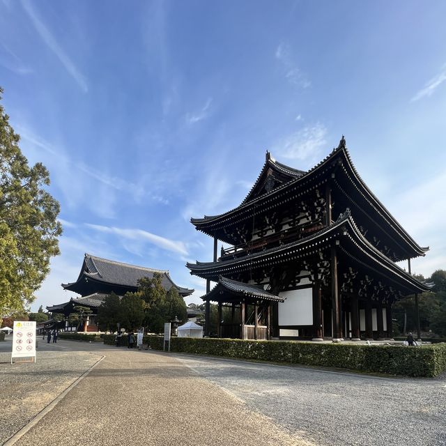 【京都】紅葉の名所　東福寺