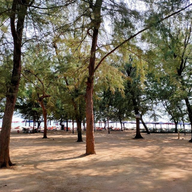 หาดชะอำ
