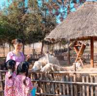 เที่ยวสวนสัตว์ Exotic Pets ที่ขอนแก่น