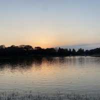 【広すぎる公園！】東京・立川の国営昭和記念公園を楽しむ