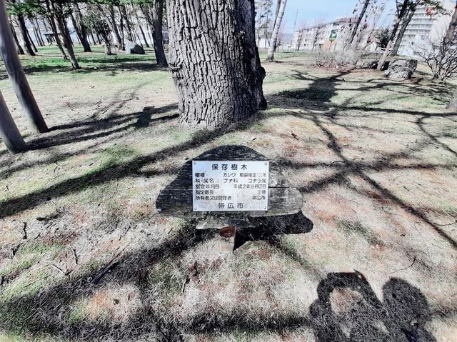 花的季節｜北海道賞花旅
