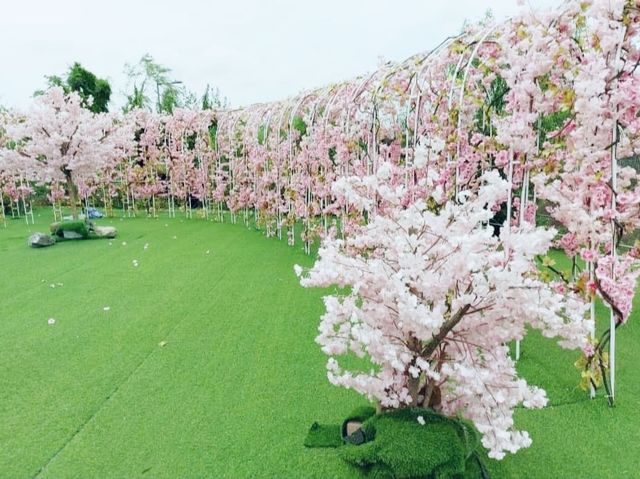 信芯園賞花好去處