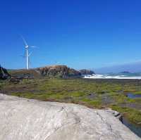 Bangui Windmills