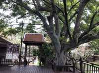 ศิลปะที่สวยงาม 