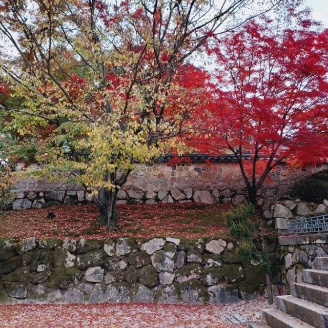 Colours at Bulguksa Temple  Gyeongju