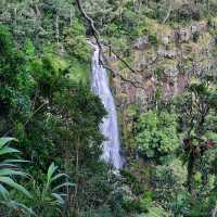 Lamington National Park Trip! 