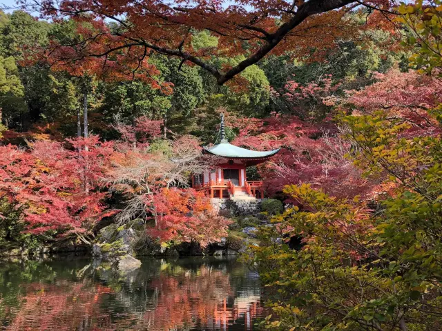 #kyoto