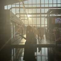 SIAM SCAPE @Sky Scape