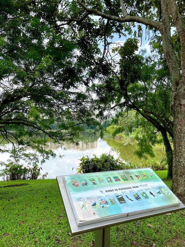 Nice small park suitable for jog and walks!