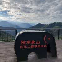 出差的小確幸-阿里山公路
