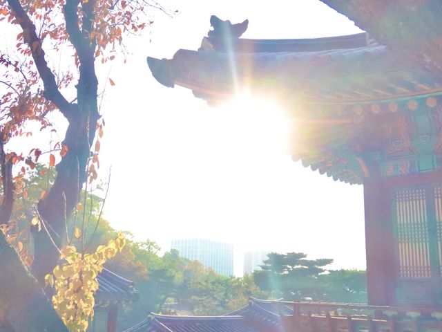 한국의 전통미 가득한 궁궐투어 ‘창덕궁’