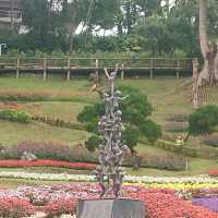 สวนแม่ฟ้าหลวง​ ดอยตุง