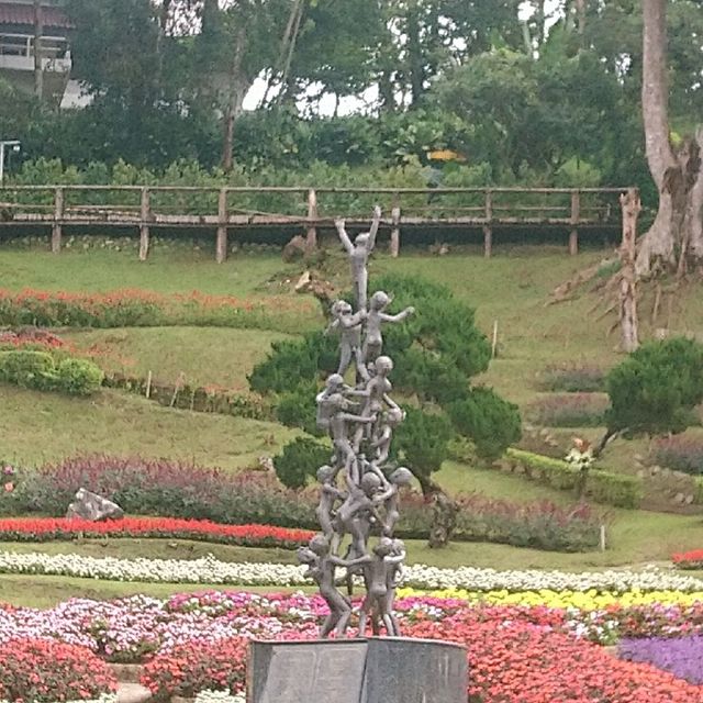 สวนแม่ฟ้าหลวง​ ดอยตุง